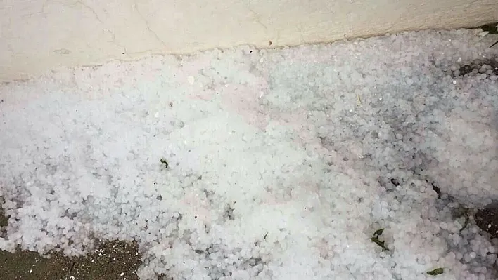 Darende de etkili olan dolu yağışı tarım arazilerine zarar verdi

