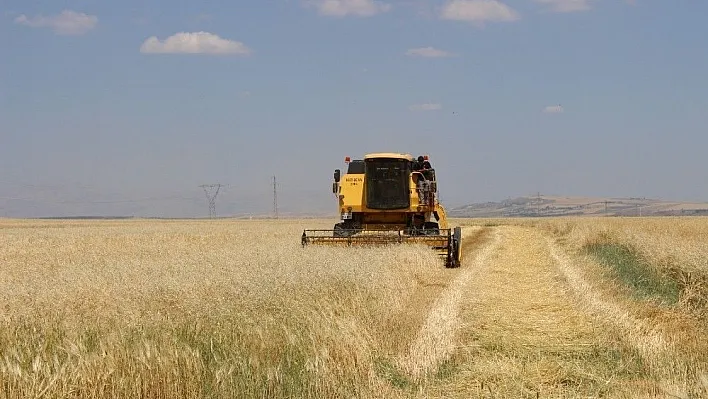 Adıyaman'da hububat hasadı başladı
