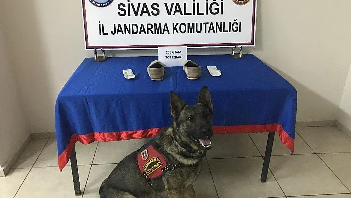 Ayakkabı tabanına gizlenmiş uyuşturucuyu narkotik köpeği buldu
