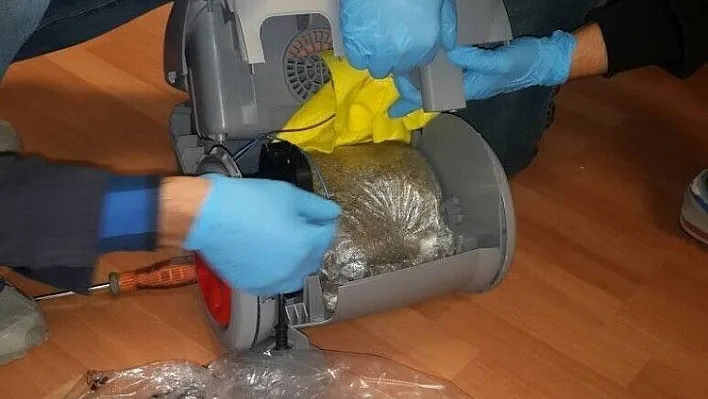 Elektrik süpürgesinden bonzai çıktı
