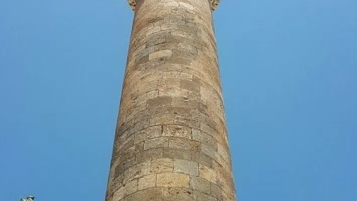 Minarenin şerefesinde bitki yetişti
