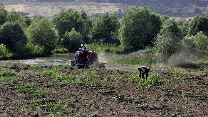 Diyarbakır karpuzu artık festivaller için üretiliyor
