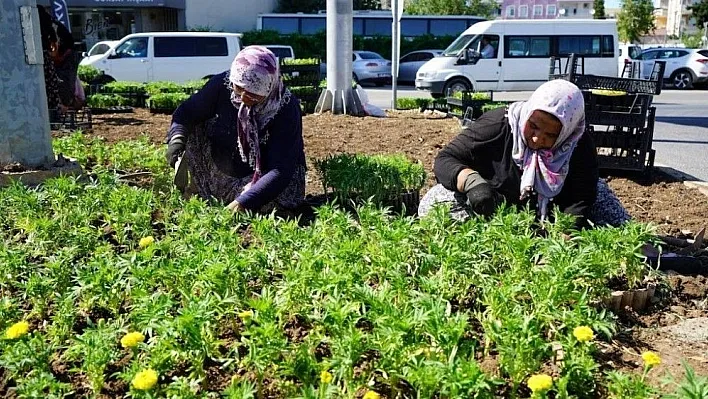 Kavşaklara mevsim çiçekleri dikildi
