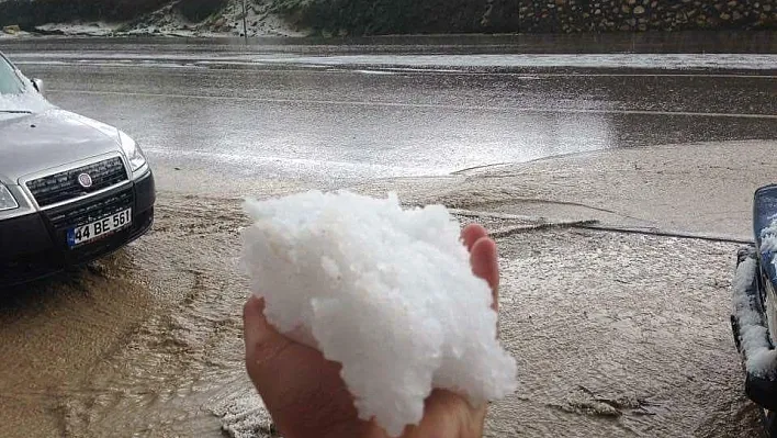 Malatya'da kayısıyı dolu vurdu
