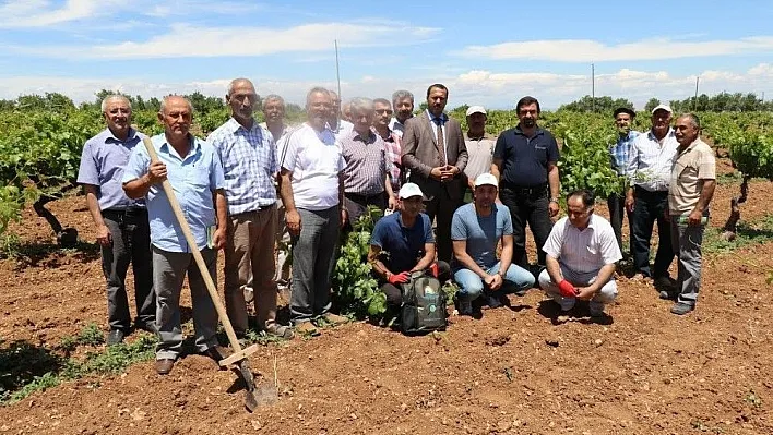 Elazığ'da üzüm yetiştiricilerine kurs