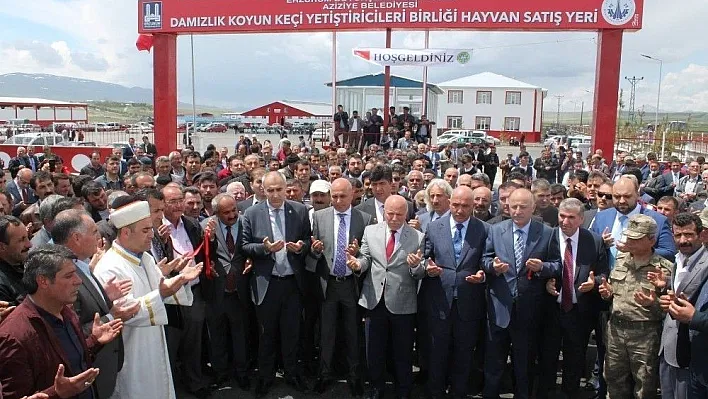 Başkan Şengül: 'Yeni hayvan pazarları fayda sağlayacak'
