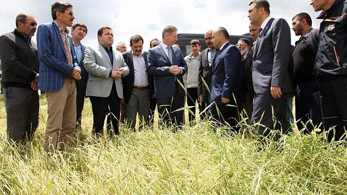 Doludan zarar gören tarlalar kayıt altına alınacak
