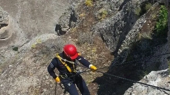 Kayalıklarda mahsur kalan keçiler kurtarıldı
