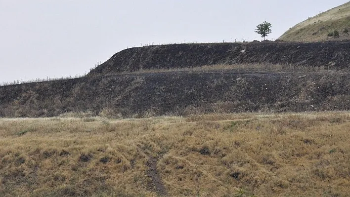Çiftçiler bile bile kendi tarlalarına zarar veriyor
