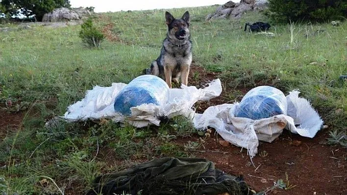 Erzincan'da 40 kilo amonyum nitrat ele geçirildi
