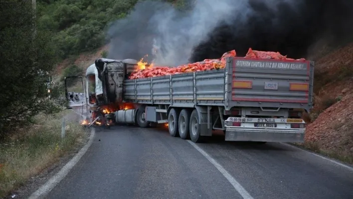 Tunceli'de yol kesen PKK'lılar araç yaktı