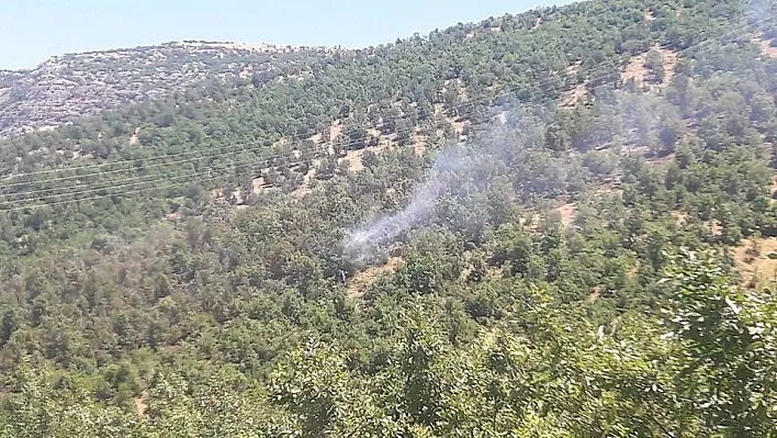 Adıyaman'da orman yangını
