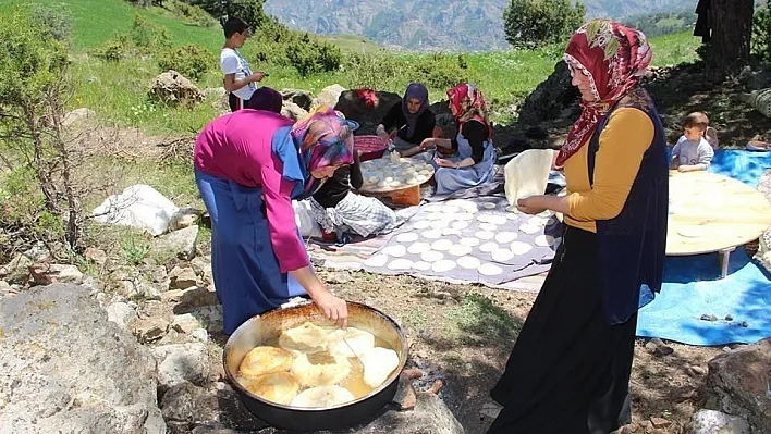 Sülünkaya'da köy şenliği coşkusu
