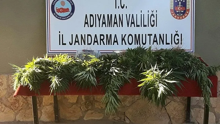 Jandarma uyuşturucu operasyonu gerçekleştirdi
