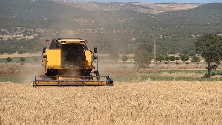 Kahramanmaraş'ta buğday hasadı başladı
