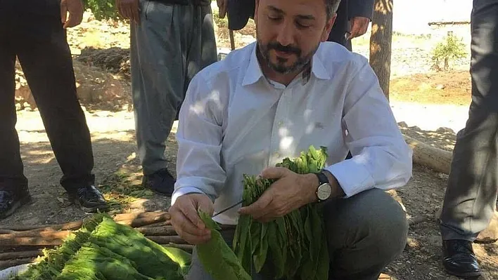 TBMM Başkanvekili Aydın: 'Tütün, Adıyaman'ın göz nuru, alın teri, ekmek teknesidir'
