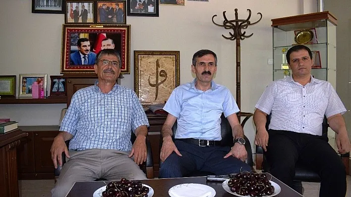 Kiraz hasadı çiftçinin yüzünü güldürdü
