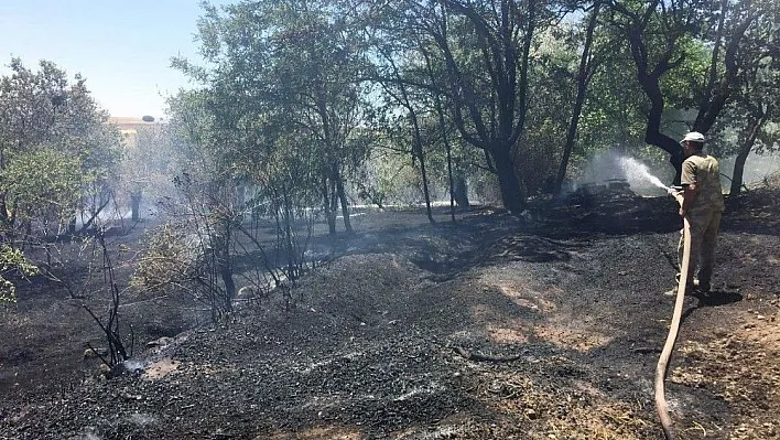 Tunceli'de ekili tarım arazisi ve bahçelerde yangın
