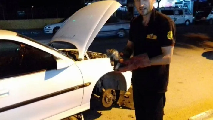 Otomobilin motor bölümüne sıkışan kedi, 2 saatte kurtarıldı
