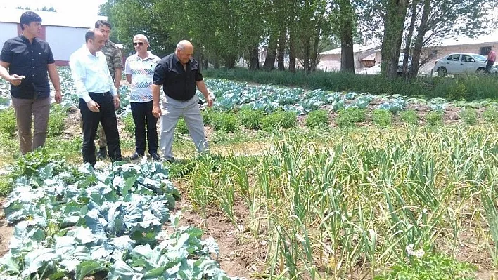 Pasinler'de alternatif ürün Sarımsak
