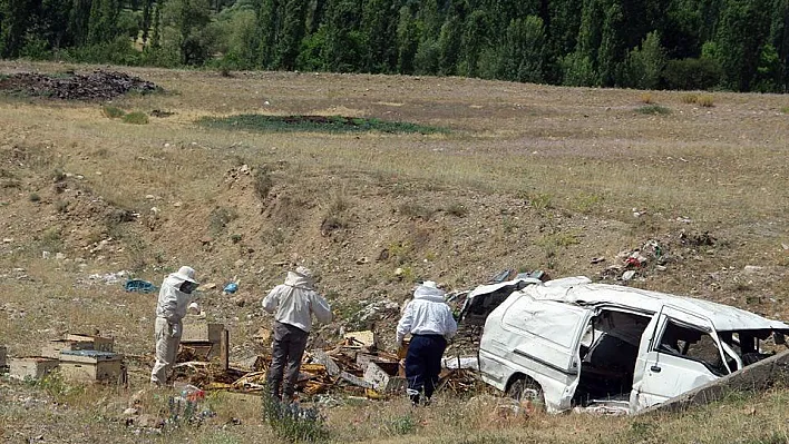 Kaza yapan araçtaki arılar korku saçtı
