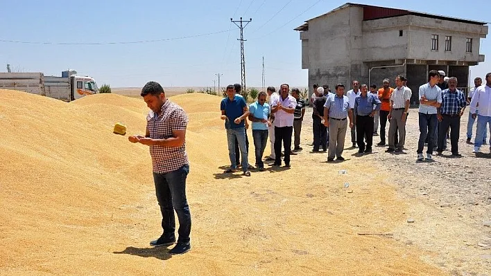 Çiftçilerin birim fiyatı beklentileri sürüyor
