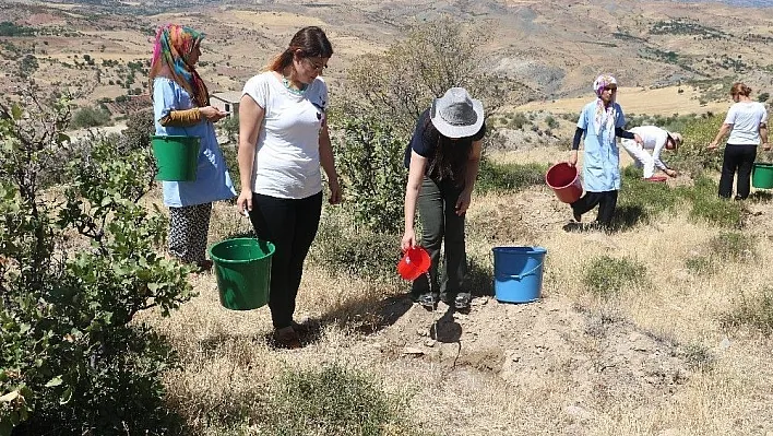 KYK' dan 15 Temmuz şehitleri adına fidan dikimi
