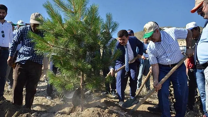 249 Demokrasi Şehidi anısına 249 adet fidan toprakla buluştu
