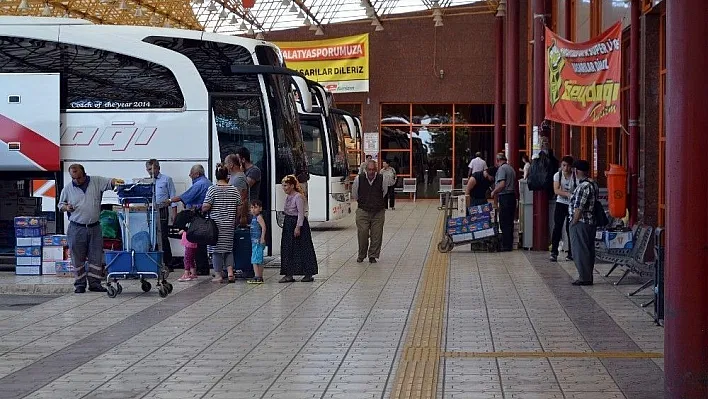 (Özel haber) MAŞTİ'de kayısı yoğunluğu
