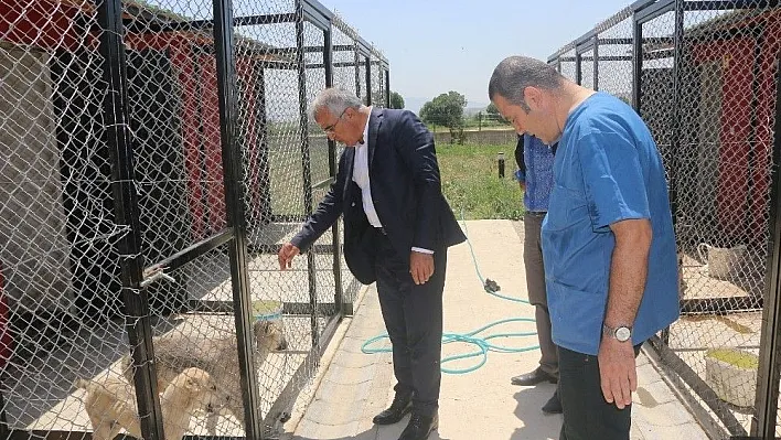 Bingöl'de 16 bin metrekarelik alan sokak hayvanlarının evi oldu
