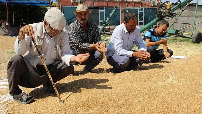 Çiftçi, buğday fiyatlarının düzeltilmesini istiyor
