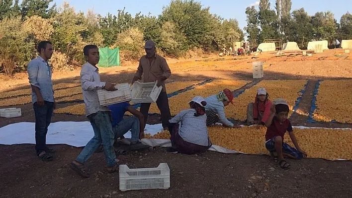 MHP Akçadağ İlçe Başkanı Cahit Leventoğlu:
