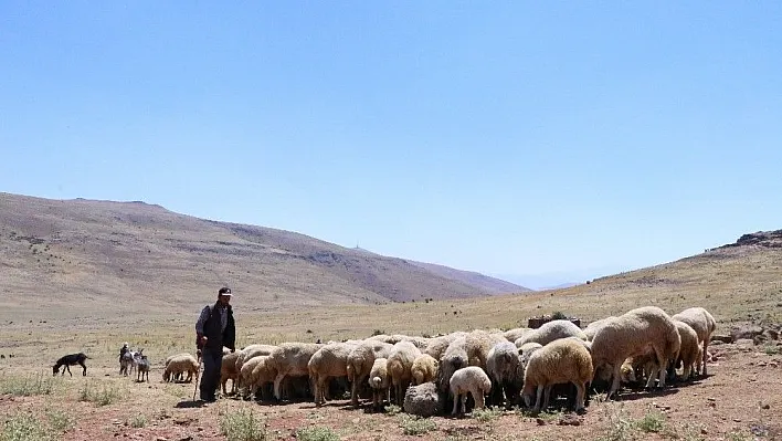 Su sıkıntısına tedbirler alınıyor
