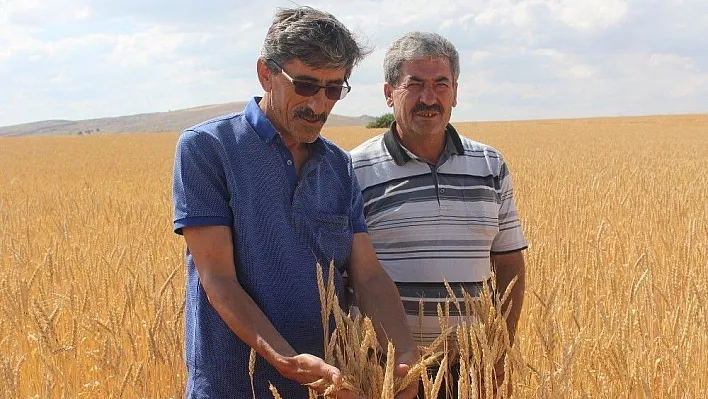 Ziraat Odası Başkanı Çetindağ'dan biçerdöver uyarısı
