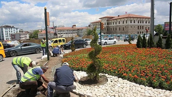 Sivas'a nüfusu kadar ağaç ve bitki dikildi
