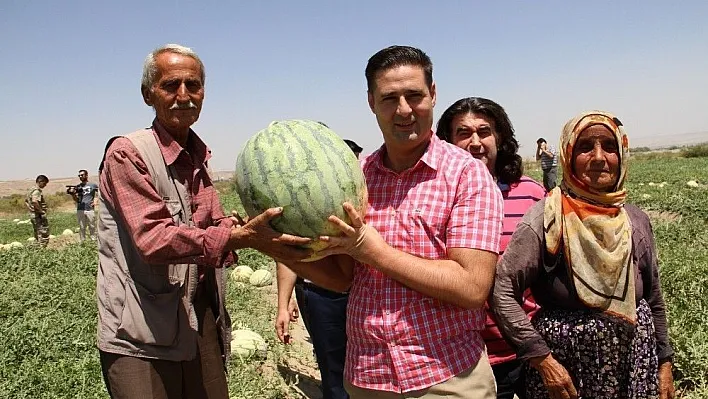 Başkan Gülenç, festivale katılacak çiftçilerin karpuz tarlasını inceledi

