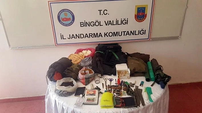 Bingöl'de bir terörist teslim oldu