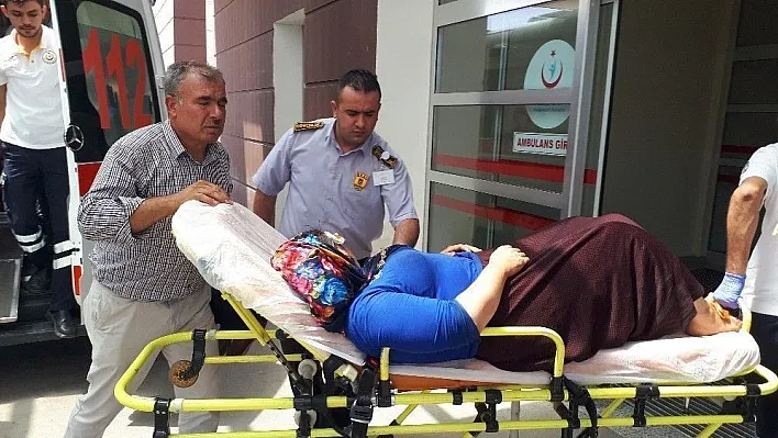 Motosiklet devrildi: 2 yaralı
