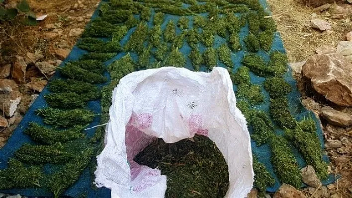 Diyarbakır'da zehir tacirlerine darbe
