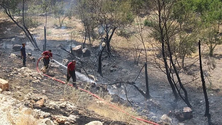 Anız yangını bahçeye sıçradı
