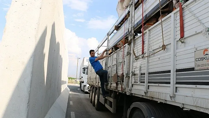 Kurban Bayramı öncesi kontroller sıklaştırıldı
