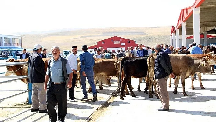 Başkan Emrullah Akpunar: 'Kurbanlık fiyatlarında yükselme söz konusu değildir'
