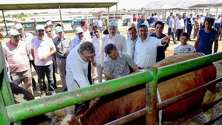 Belediye Başkanı Çakır hayvan pazarında inceleme yaptı
