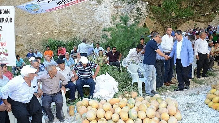 Darende'de kavun festivali yapıldı
