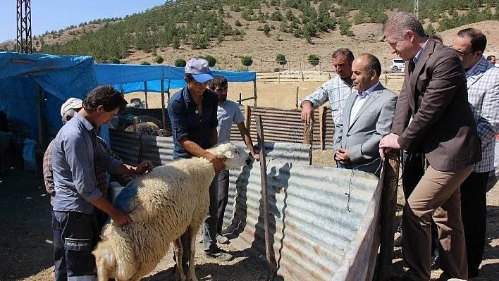 Vali Gül, kurban pazarını gezdi
