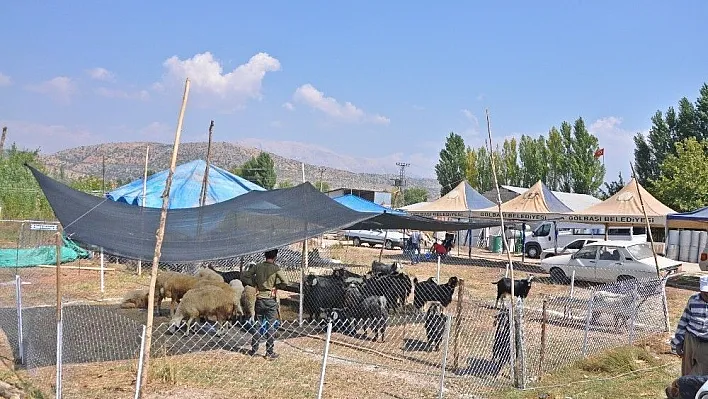 Gölbaşı Belediyesi Kurban Bayramı hazırlıklarını tamamladı
