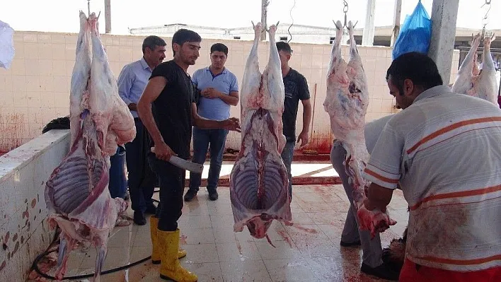 Kurban Bayramı'nda kesimhaneler doldu taştı
