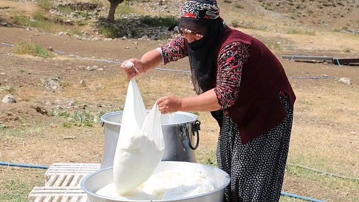 Yayladan Gelen Lezzet: Erzincan Tulum Peyniri
