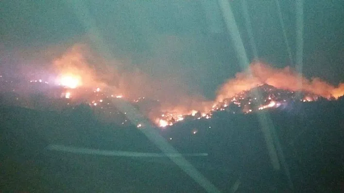 Erzurum'da ormanda çıkan yangın güçlükle kontrol altına alındı
