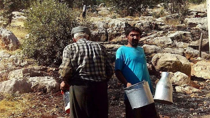 Otluk yangını ormana sıçramadan söndürüldü
